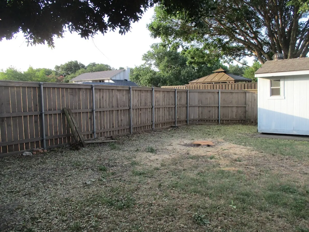 Cleared yard after professional tree removal in Alston
