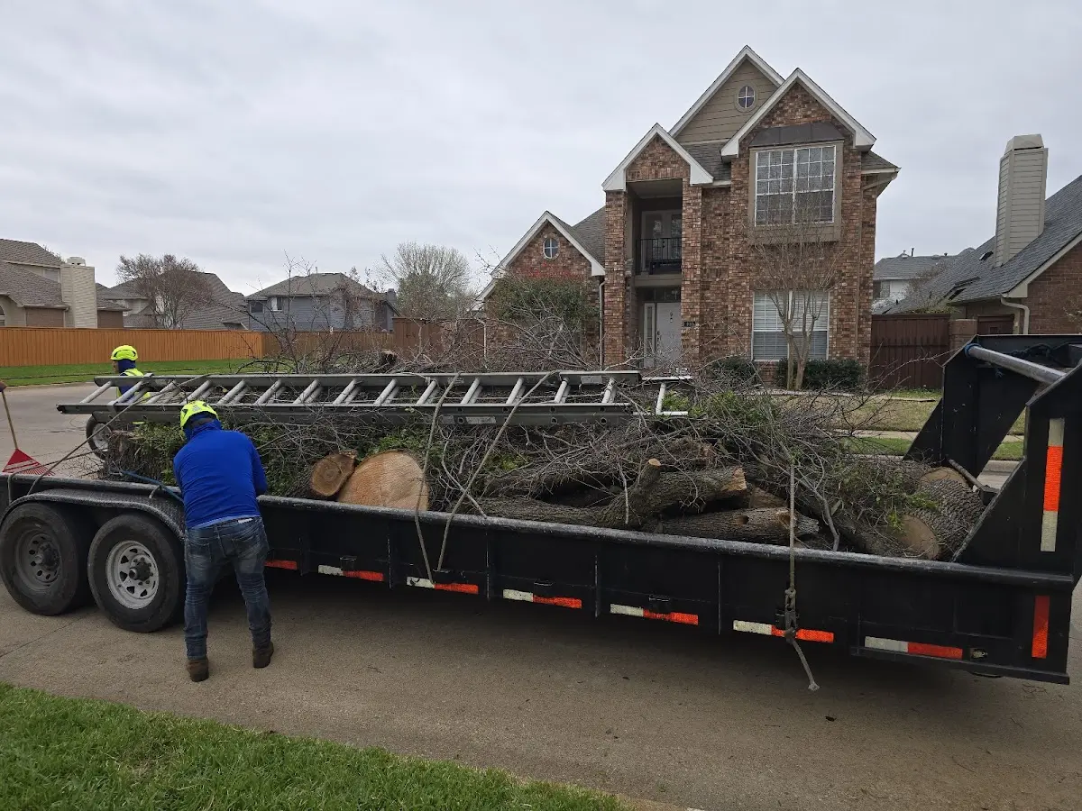 Expert Tree Removal with proper safety equipment in Alston